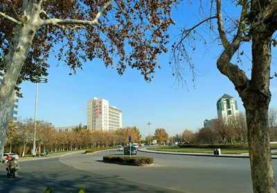 Zibo - Photo 2