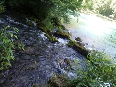 Van Buren - Photo 2