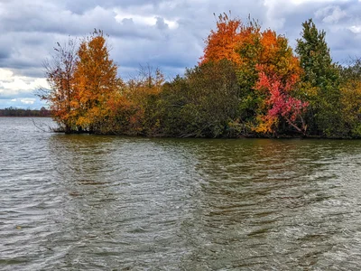 Buckeye Lake - Photo 2