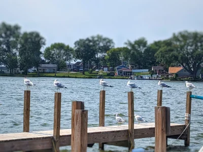 Buckeye Lake - Photo 5