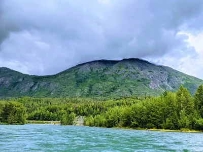 Cooper Landing - Photo 2