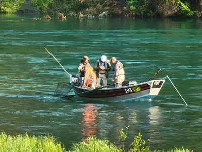 Cooper Landing - Photo 4