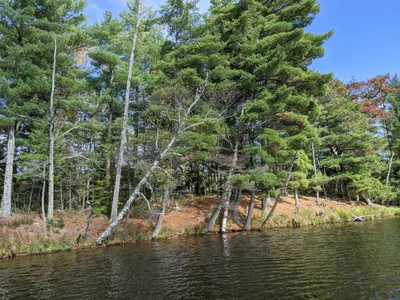 Eagle River - Photo 2