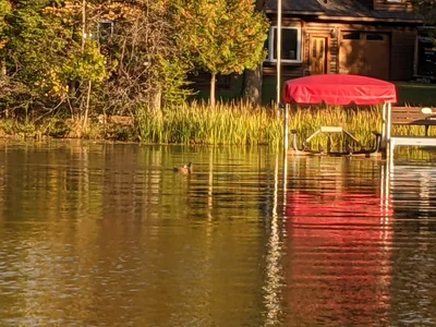 Eagle River - Photo 4