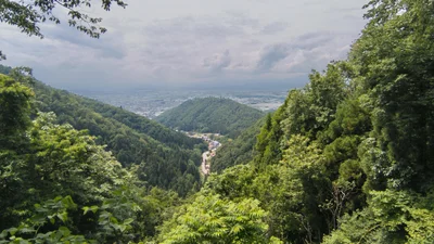 Tendo - Photo 5