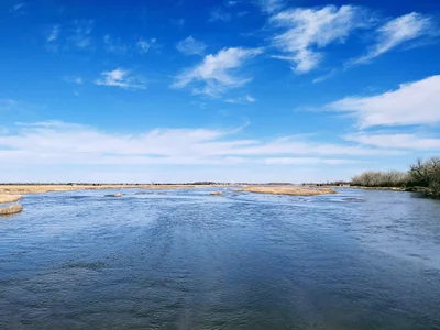 Kearney - Photo 5