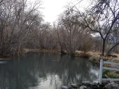 Glenwood - Photo 2