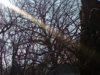 Blountville - Photo 2
