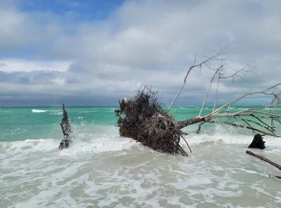 Longboat Key - Photo 4
