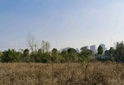 Jingdezhen - Photo 5
