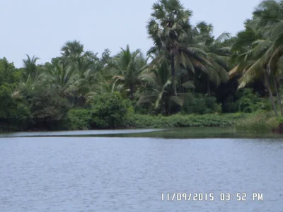 Mulki - Photo 5