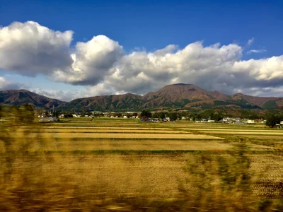 Shiwa - Photo 2
