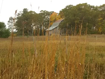 Lewiston - Photo 3