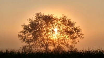 Cooksburg - Photo 3
