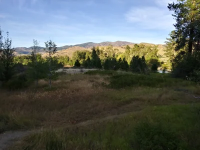 Twisp - Photo 2