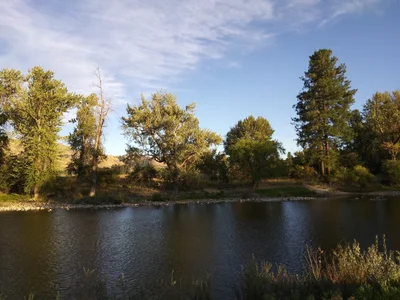 Twisp - Photo 4