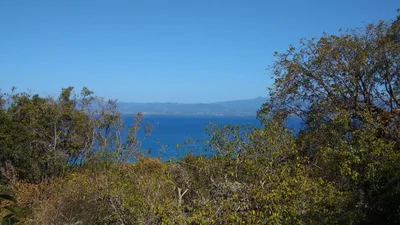 Coffin Island - Photo 4