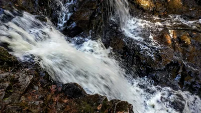 Coac Falls - Photo 4