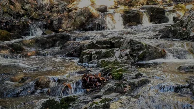 Coac Falls - Photo 5
