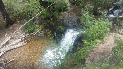 Eagle Nest - Photo 5