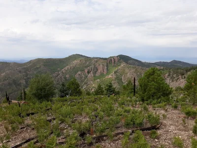 Chiricahua Mountains - Photo 2