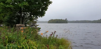 Clam Lake - Photo 3