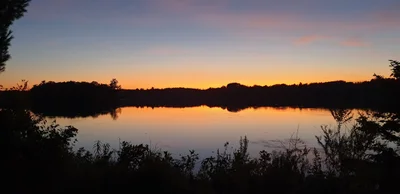 Clam Lake - Photo 4