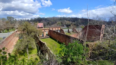 Shasta - Photo 3