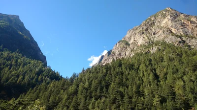 Gangotri - Photo 2