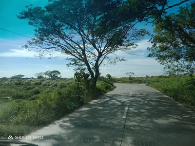 San Rafael - Photo 2