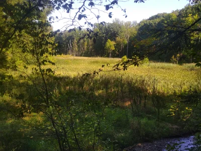 Burton - Photo 2