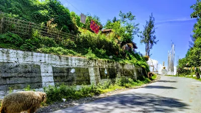 Bomdila - Photo 5