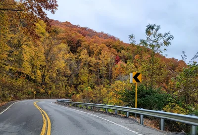 Pine Mountain - Photo 2