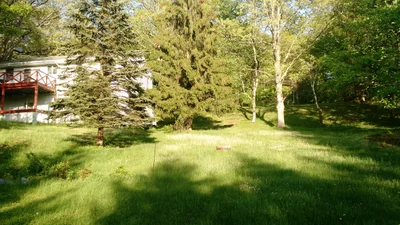 Hillsdale - Photo 2