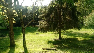 Hillsdale - Photo 3