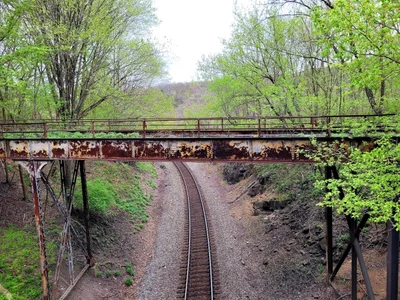 Pembroke - Photo 2