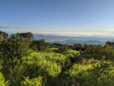 Roan Mountain - Photo 2