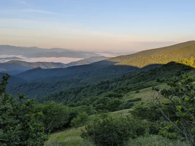 Roan Mountain - Photo 3
