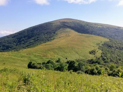 Roan Mountain - Photo 4