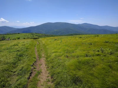 Roan Mountain - Photo 5