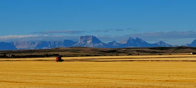 Cardston - Photo 3