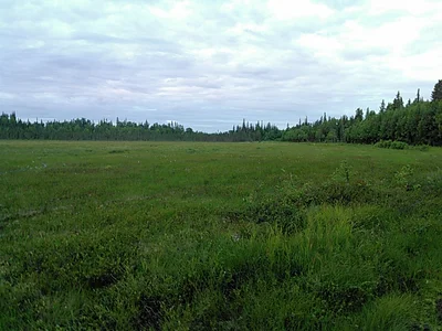 Nikiski - Photo 5