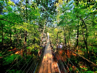 Fall Creek Falls State Park - Photo 2