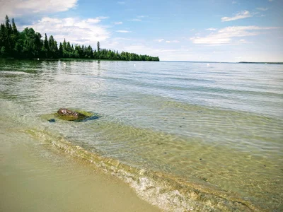 Candle Lake - Photo 4
