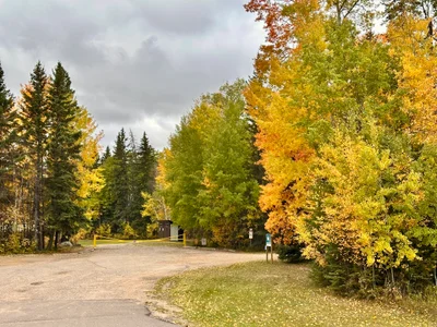 Candle Lake - Photo 5
