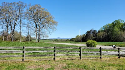 Landrum - Photo 4