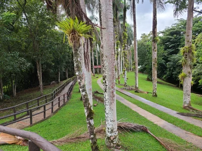 Caguana Ceremonial Park and Museum - Photo 3