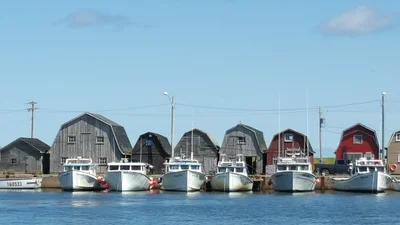 Malpeque - Photo 3