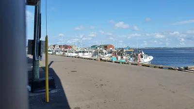 Malpeque - Photo 4