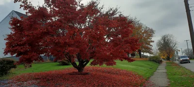 Natrona Heights - Photo 3